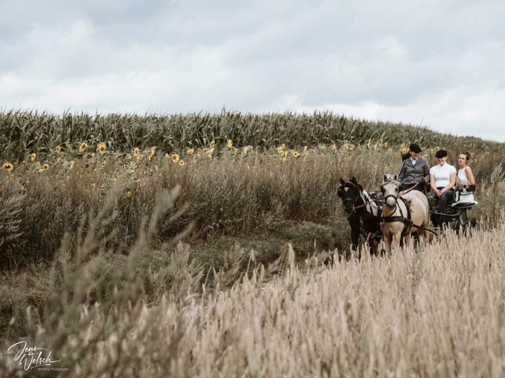 hochzeit-lilienthal-pony-kutsche
