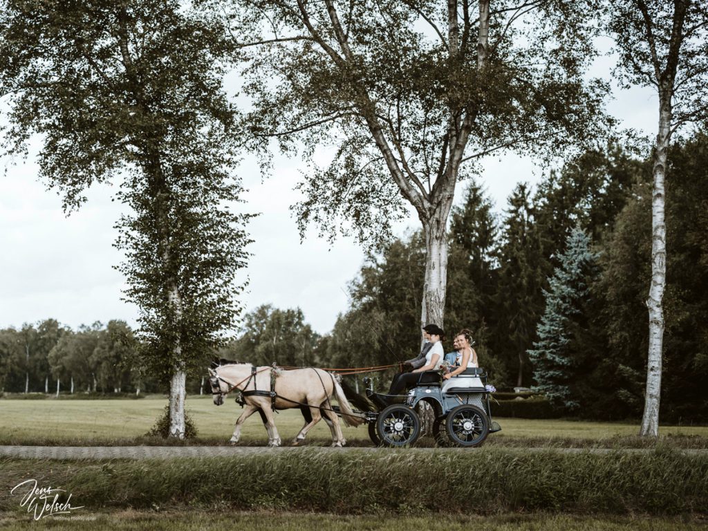 hochzeit-lilienthal-pony-kutsche-birke