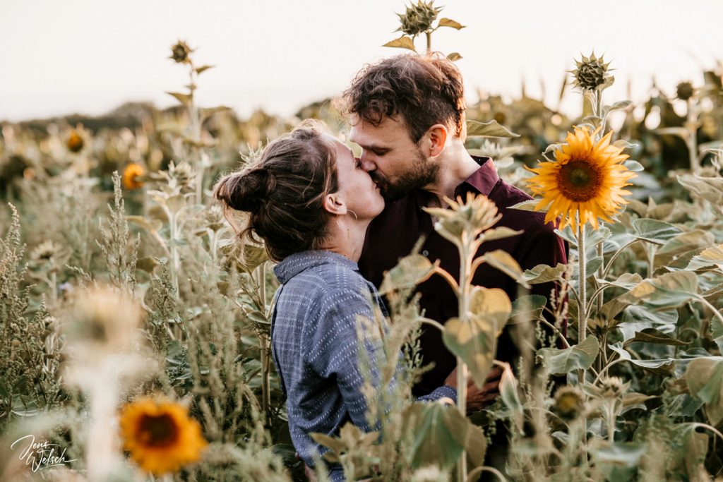 brautpaar-verliebt-im-sonnenblumenfeld-worpswede