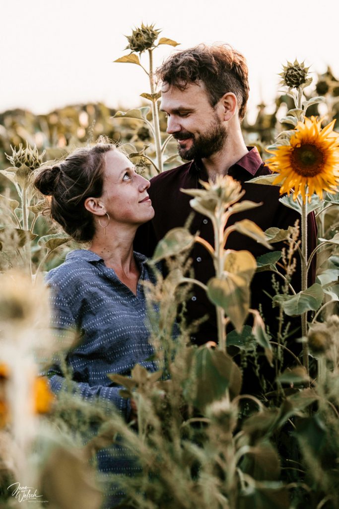 brautpaar-verliebt-im-sonnenblumenfeld-worpswede