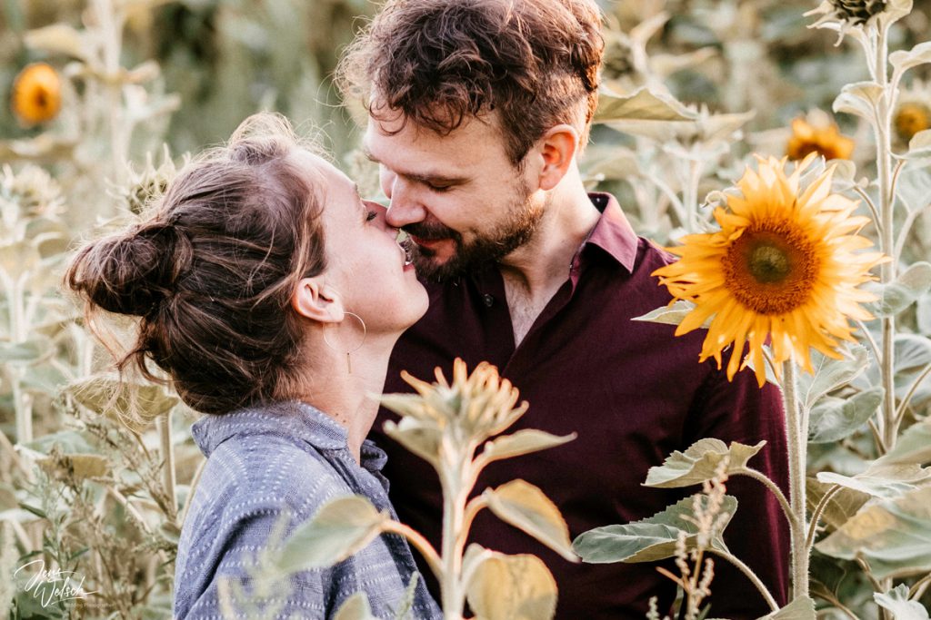 brautpaar-verliebt-im-sonnenblumenfeld-worpswede