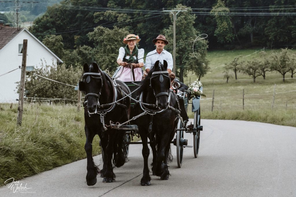 hochzeit-friedrichshafen-tettnang-brautpaar-ponyhof-verliebt-hochzeitskutsche