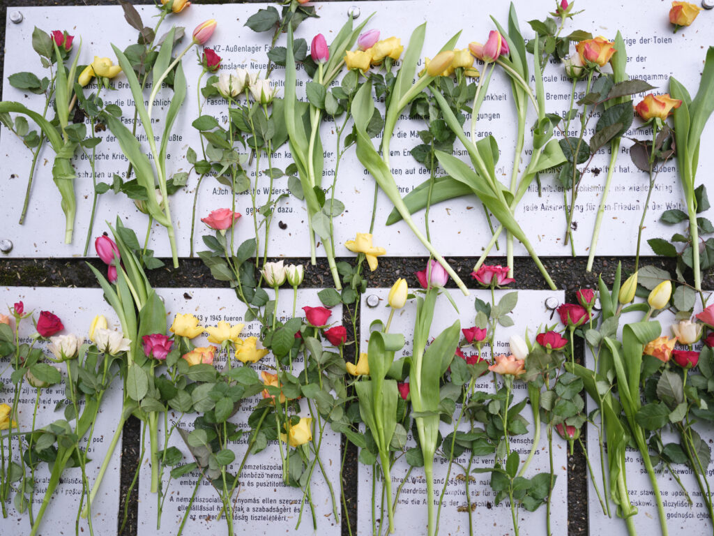 Rosen und Tulpen liegen auf Gedenktafeln zur Erinnerung an die Opfer des Nationalsozialismus.