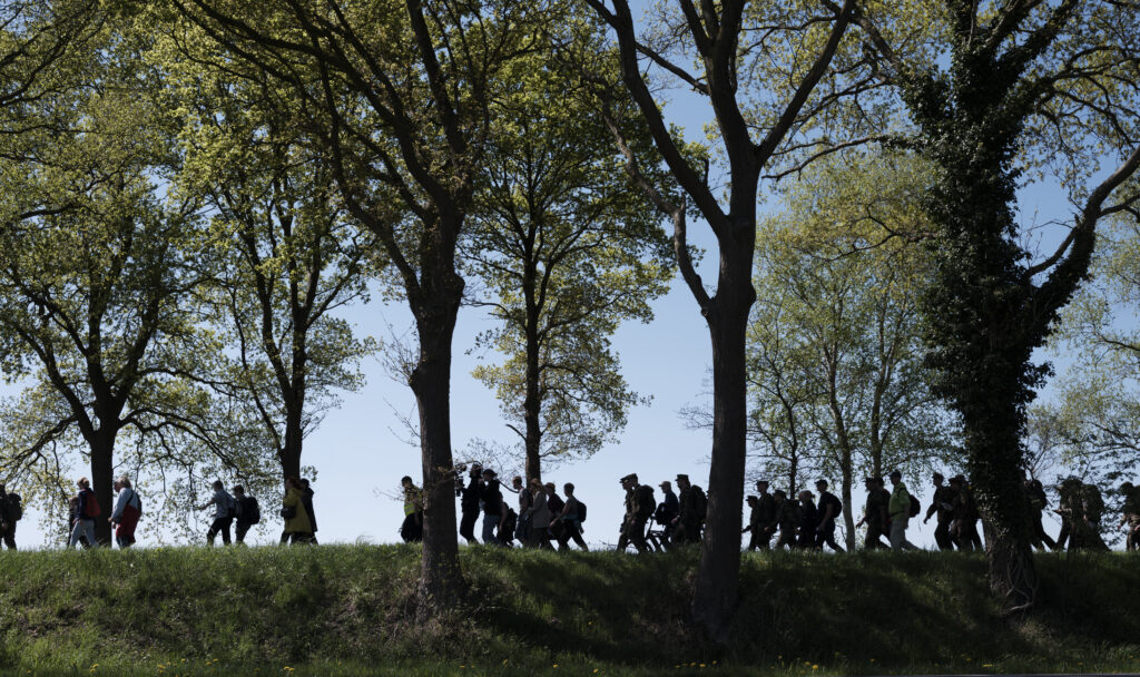 Teilnehmerinnen und Teilnehmer des Gedenkmarsches ziehen als Silhouetten unter hohen Bäumen entlang.